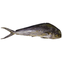 Dorado — foto de producto