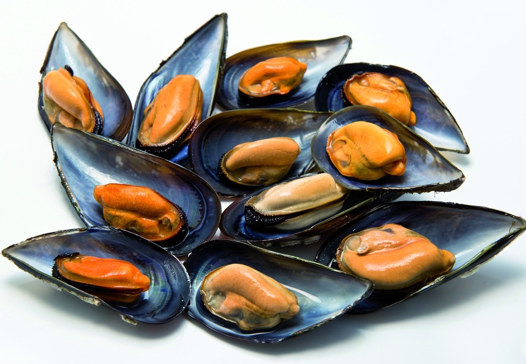 Mejillon