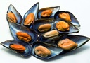 Mejillon