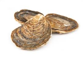 Ostras