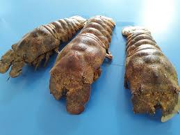 Langostino Galapagueño