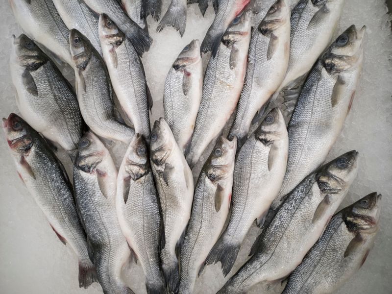 Róbalo Filete