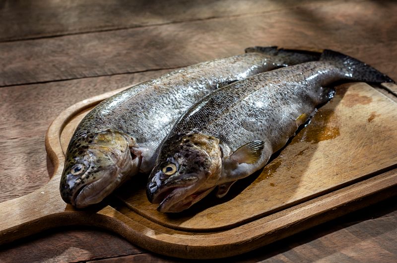Trucha Salmoneada