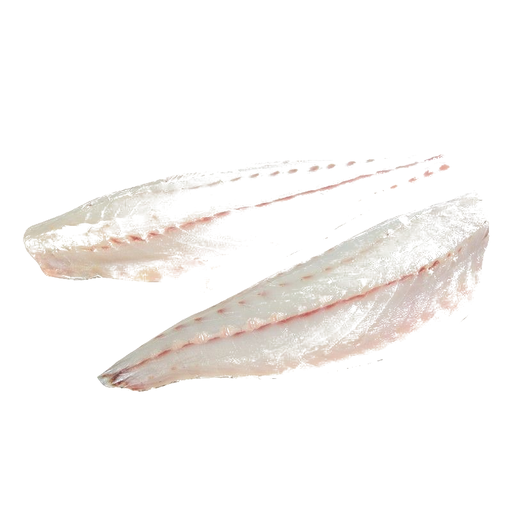 [P13] Corvina Plateada (filete) 