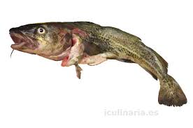 [P19] Bacalao fresco