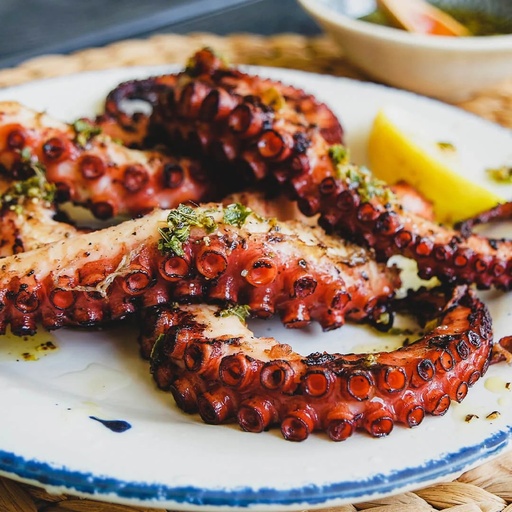 [M10] Pulpo