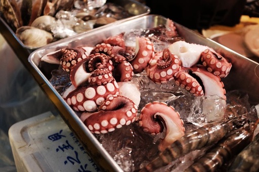 [M10] Pulpo