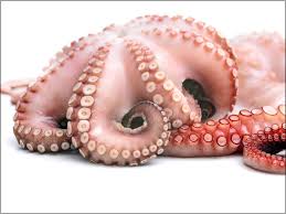 [M10] Pulpo