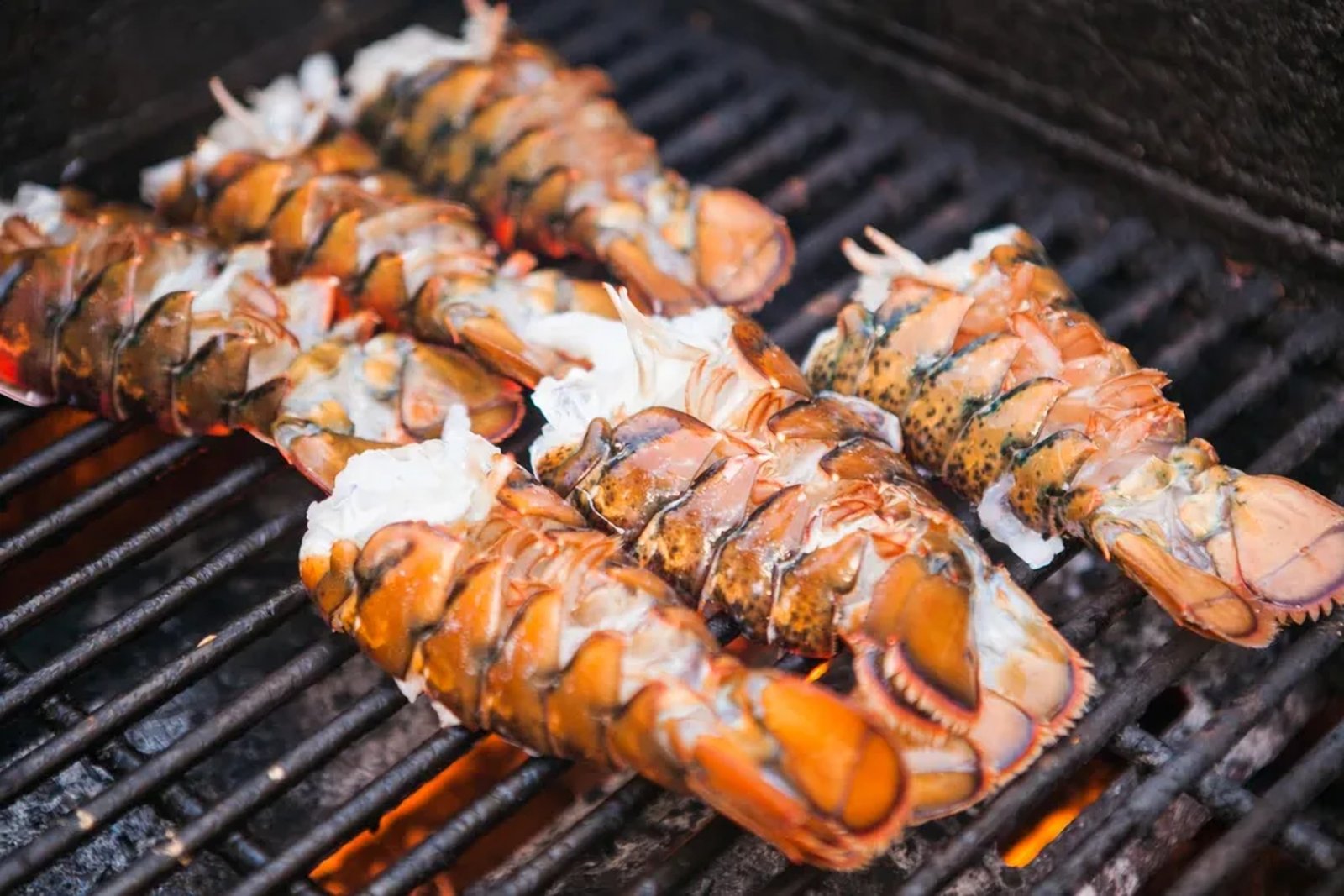 Langosta de Galápagos a la parrilla en ajillo de mantequilla